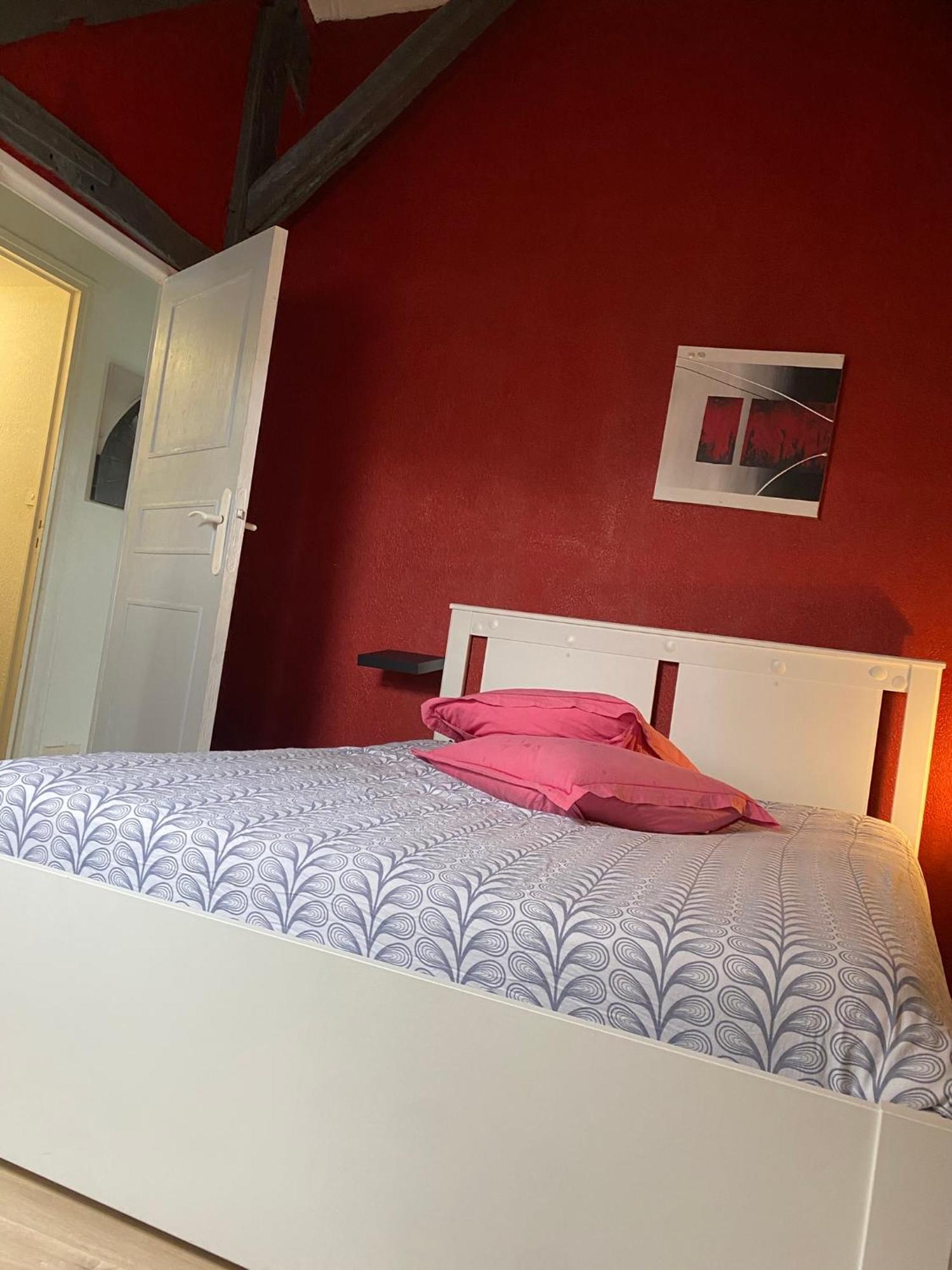 Charmant Duplex Rue Colbert Daire Tours Dış mekan fotoğraf